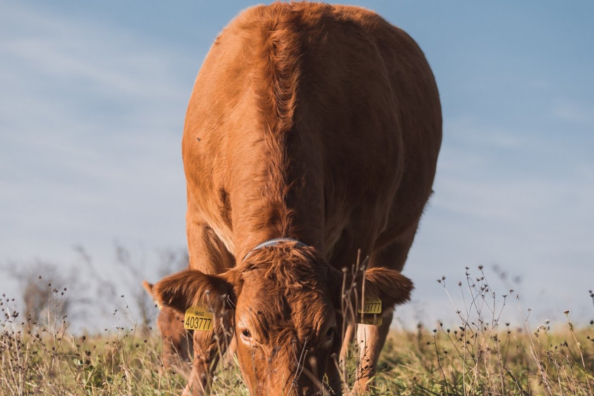 Rodinná farma a penzion